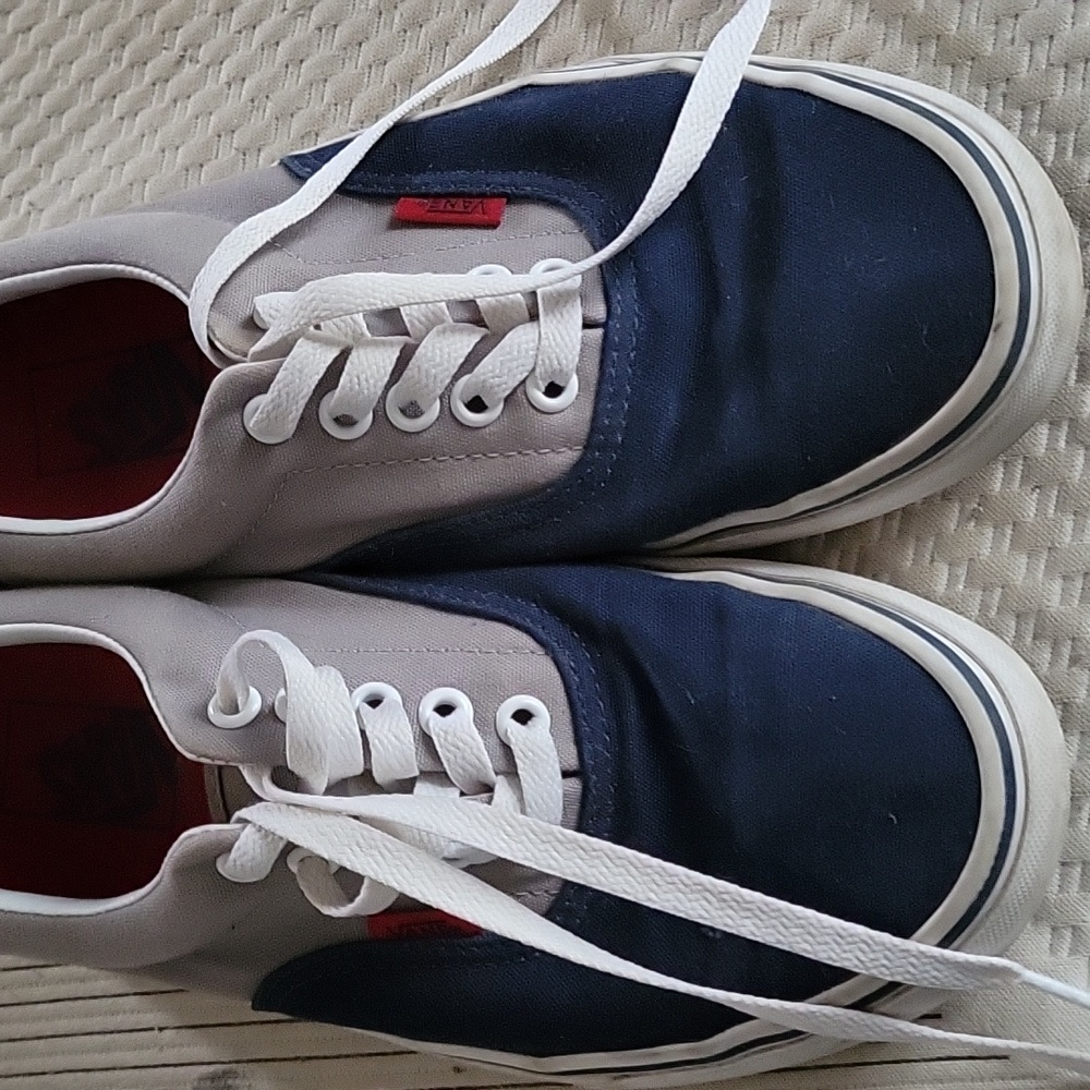 Vans old school shoes
